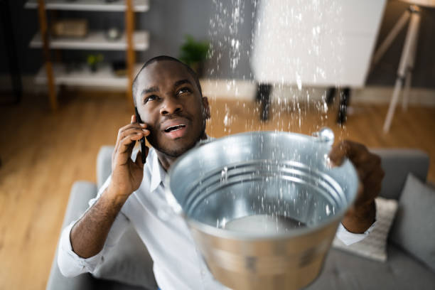 Reliable SC Water damage restoration Solutions