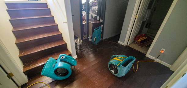 Water damage restoration experts in SC
