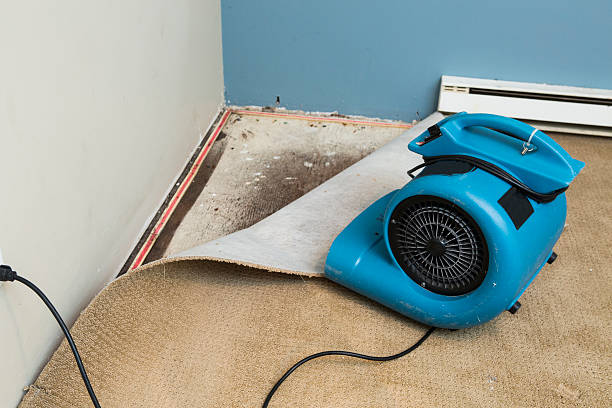 Best Mold removal after water damage  in Garden City, SC